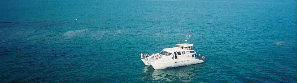 Whale watching season has started in Hermanus, near Cape Town, South Africa - luxury Catamaran